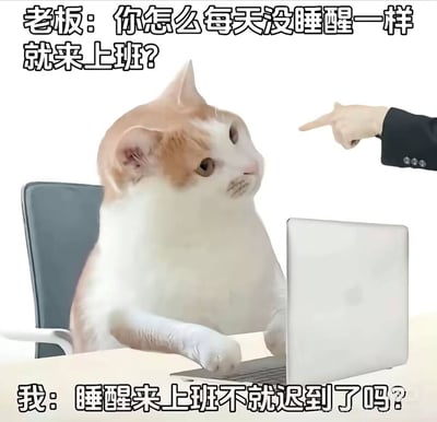 这是一张职场搞笑表情包，整体为白底，画面中一只橘白猫咪被拟人化，坐在办公椅上，前爪放在笔记本电脑上，模拟打工人上班坐在工位的状态；画面右侧伸出一只穿着西装的人手，指向猫咪，模拟老板指责员工的场景；图片上方配文是老板的质问：“老板：你怎么每天没睡醒一样就来上班?”，图片下方配文是作为员工的“我”的回复：“我：睡醒来上班不就迟到了吗?”，内容精准吐槽了当代打工人为了不迟到赶上班、无法睡够就出门的日常状态，容易引发打工人共鸣，十分搞笑。