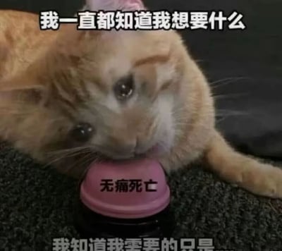 这是一张戏谑表达消极情绪的网络梗图，画面主体是一只神态低落、眼神疲惫的橘猫，它趴在地面上，嘴部触碰着一个粉色按钮，按钮上印有「无痛死亡」字样。图片上方配文「我一直都知道我想要什么」，下方配文「我知道我需要的只是...」，通过猫咪「选择」无痛死亡按钮的设定，以自嘲的方式精准传递出当代人在面对生活、工作等多重压力时，产生的倦怠、逃避甚至消极的心态，是对负面情绪的一种戏谑式抒发，容易引发处于高压状态下人群的共鸣。