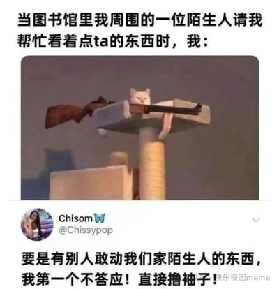 图片上方文字描述场景：'当图书馆里我周围的一位陌生人请我帮忙看着点ta的东西时，我：'，中间是一只表情严肃的猫坐在猫爬架上，前爪搭着一个类似玩具步枪的物品，摆出警惕守护的姿态。下方配有用户'Chisom @Chissypop'的评论风格文字：'要是有别人敢动我们家陌生人的东西，我第一个不答应！直接撸袖子！'，右下角有'快乐模因meme'水印。通过猫咪一本正经持枪守护的反差萌画面，幽默夸张地表现了答应帮忙后瞬间责任感爆棚、准备全力守护的搞笑心态。