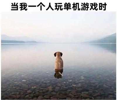 这是一张贴合单机玩家心境的趣味梗图，顶部配有文字“当我一个人玩单机游戏时”。画面主体是一只小狗背对着镜头，安静地站在清澈见底的浅湖水中，水面下的鹅卵石清晰可见，远处是朦胧的山峦与平静无波的湖面，整体氛围静谧又带着一丝孤寂感。这张图用小狗独处的画面，精准比喻了一个人玩单机游戏时，沉浸在自己的游戏世界里、与外界暂时隔绝的孤独又自在的状态，能够引发单机玩家的共鸣。