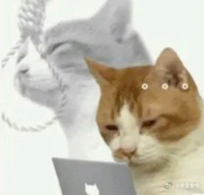 这张梗图画面中，一只橘色猫咪满脸忧伤地坐在电脑前，表情沮丧。背景以淡化效果叠加了猫咪抬头望着天的画面，并配有一根绳索，氛围浓厚地表达了内心痛苦和厌世情绪。此图常用来表达网友“emo”、压力爆表、或自嘲社畜等状态。图片通过黑色幽默、夸张自嘲等表现手法，以网络段子形式流传。背景的绳圈有明显的暗示意味，但实为网络社交自我调侃表达。