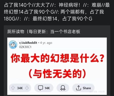 这是一张拼贴梗图，上半部分是聊天记录内容，用户吐槽各类内容占用存储空间的困扰：某内容占了140G，《最终幻想14》单端就占90G，双端安装更是占了180G，用“神经病呀”“难崩”表达自己的崩溃情绪；下半部分是国外论坛Reddit的r/AskReddit板块4年前的提问截图，用红色大字提问“你最大的幻想是什么？（与性无关的）”。
这张图玩了文字梗：将《最终幻想14》的“幻想”和提问里的“幻想”结合，暗示玩家最大的幻想就是FF14能不占用这么多存储空间，形成反差搞笑的效果，没有涉及性暗示、双关谐音等其他特殊内容。