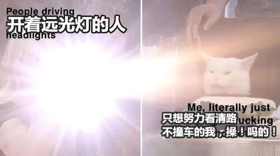 左侧画面展示刺眼的远光灯强光，配文'开着远光灯的人'，模拟夜间行车时被对向远光灯照射的场景；右侧画面是一只表情烦躁的白猫，上方有一只手似乎在遮挡光线，配文'只想努力看清路不撞车的我，操！吗的！'，通过强烈的对比和粗俗用语，夸张表达了驾驶员被远光灯晃眼时的愤怒与无奈。