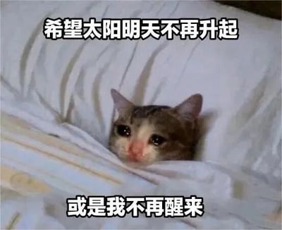 一只灰白相间的猫咪蜷缩在白色被窝里，只露出小脑袋，眼神中带着明显的委屈和疲惫。图片上方配有文字“希望太阳明天不再升起”，下方则是“或是我不再醒来”，通过夸张的文字与猫咪的可怜表情形成反差萌，幽默地表达了人们不想起床、渴望逃避新一天的真实心情，尤其能引发打工人和学生党的共鸣。