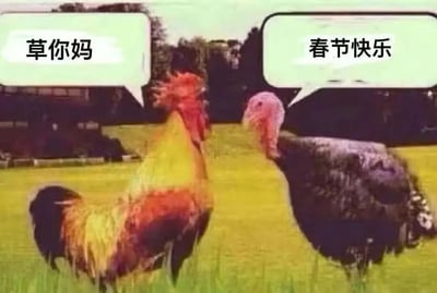 这是一张经过P图改编的静态趣味梗图，画面背景是带有房屋和树木的户外草地场景。画面左侧是一只色彩鲜艳的红黄色公鸡，右侧是一只深色的火鸡，二者面对面站立。公鸡的对话气泡中是粗俗脏话“草你妈”，火鸡的对话气泡中则是礼貌的“春节快乐”，通过这种完全反差的对话内容，结合公鸡对应中国春节相关文化、火鸡对应西方感恩节文化的属性差异，制造出荒诞搞笑的效果，用拟人化的动物互动来呈现出无厘头的趣味冲突。