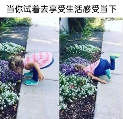 这是一张左右对比的搞笑梗图，左侧画面中，穿着粉白条纹无袖上衣、深蓝色裤子和蓝绿色鞋子的小女孩蹲在路边的花丛旁，低头凑近紫色花朵，似乎在闻花香，呈现出用心感受生活的状态；右侧画面里，同一个小女孩直接将脸埋进紫色花丛中，身体趴在地面，姿势显得失控又夸张。图片上方配文“当你试着去享受生活感受当下”，用这种前后反差的画面，幽默调侃了人们在尝试用心感受生活、享受当下时，容易用力过猛、失去分寸的真实状态，充满趣味和共鸣感。
