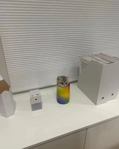 一只灰色小奶猫正坐在一个彩虹渐变色的杯子里，杯子从红色过渡到紫色，小猫只露出圆圆的脑袋和一双大眼睛，眼神好奇地望向镜头。杯子被放置在一张白色的书桌上，桌面上还散落着其他物品：右侧有一个白色的文件架，里面整齐地放着几本文件夹；左侧有一个白色和浅灰色相间的小盒子（疑似桌面收纳盒），旁边还有一个部分可见的棕色 cardboard 盒子。背景是一面带有细密竖条纹的白色百叶窗，整体环境干净整洁，呈现出简约的居家或办公风格。