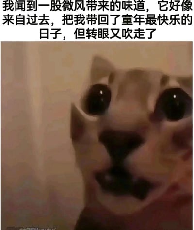 暂无描述
