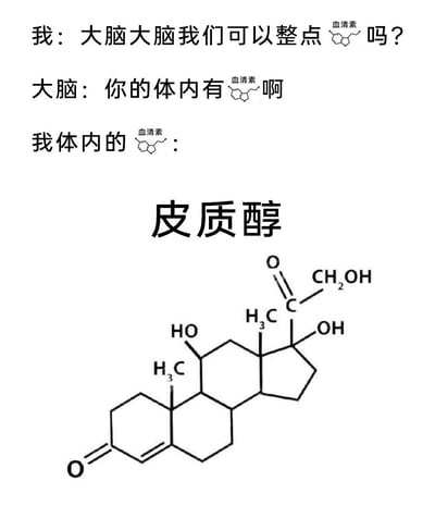 这是一张结合生物化学知识的自嘲式图文梗图，通过对话+化学结构式的形式玩梗：用户向大脑请求分泌能带来愉悦感的血清素，大脑回复体内存在血清素，但实际用户体内只有代表压力的皮质醇，用皮质醇的化学结构式呈现这个反差。精准戳中当代人被压力裹挟、愉悦激素不足的情绪状态，充满无奈的自嘲感。