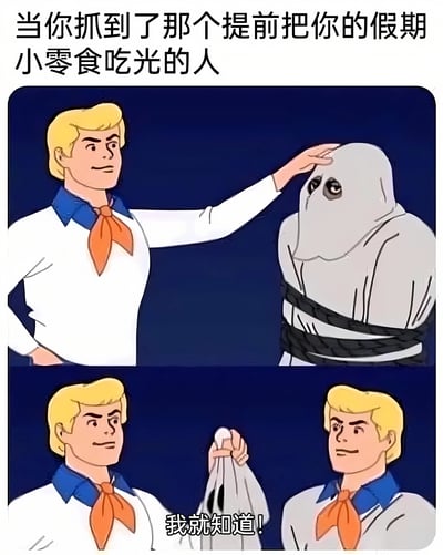这是一张两格连环漫画，上方文字为“当你抓到了那个提前把你的假期小零食吃光的人”。第一格中，一位金发卡通男子（身着白色上衣、蓝色领子和橙色领带）正用手拍打着一个被黑色绳子捆绑的 hooded 人物头部，表情得意。第二格中，该男子扯下 hooded 人物的头套，发现里面是另一个和自己长得一模一样的金发男子，下方配有文字“我就知道！”，通过自我调侃的方式制造搞笑效果。