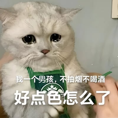 图片中是一只毛发雪白的猫咪，它有着又大又圆的眼睛，眼角似乎带着泪珠，表情显得十分委屈。猫咪被人用双手抱着，身上穿着一件绿色的围裙，围裙上有类似星巴克的标志。图片下方配有文字：“我一个男孩，不抽烟不喝酒 好点色怎么了”。通过猫咪委屈的表情与人类化的辩解文字相结合，形成一种幽默的反差效果，“好点色”在这里是口语化表达，指喜欢美好的事物或外貌，整体营造出搞笑又无奈的氛围。
