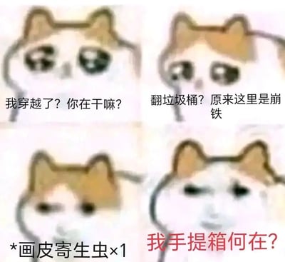 这是由四张mur猫（忧郁猫）表情包拼接而成的连环梗图，围绕米哈游旗下游戏《崩坏：星穹铁道》的经典内容展开玩梗。第一张图中mur猫露出疑惑的表情，配文“我穿越了？你在干嘛？”，模拟穿越到游戏世界后的茫然状态；第二张图mur猫依旧带着疑惑神情，配文“翻垃圾桶？原来这里是崩铁”，对应游戏中存在翻垃圾桶收集道具的特色玩法；第三张图mur猫表情变得无奈无语，配文“*画皮寄生虫×1”，画皮寄生虫是游戏里的常见怪物；第四张图mur猫皱眉露出愤怒的表情，配文“我手提箱何在？”，手提箱是游戏主角开拓者的标志性关键道具，是玩家熟知的核心物品。整体通过幽默的表情与游戏元素结合，还原玩家对游戏内容的熟悉感，属于玩家的趣味整活创作。