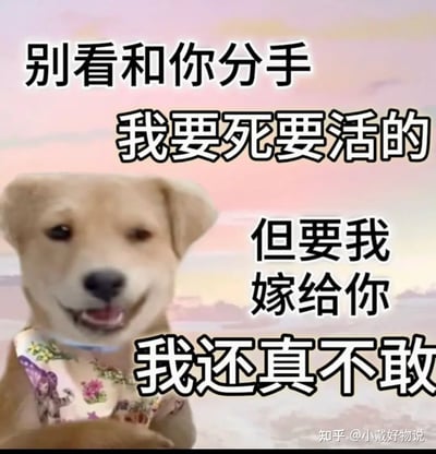这是一张以狗狗为主角的梗图，上面配有大字文案“别看和你分手我要死要活的，但要我嫁给你我还真不敢”。这种梗通常用来调侃感情、分手和反差心理状态，具有明显的互联网幽默气质。画面轻松搞笑，常见于网络聊天和社交平台斗图场景。没有明显双关或谐音梗，整体偏自嘲风格。