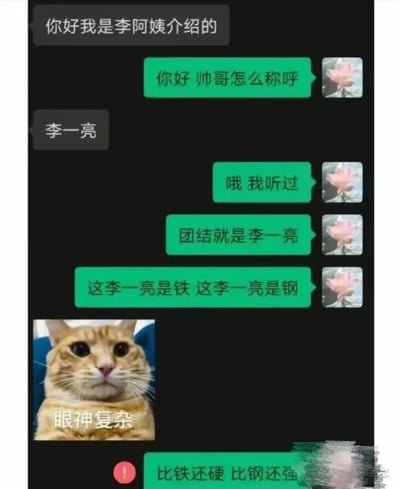 这是一张微信聊天记录截图，呈现了李阿姨介绍的相亲对象间的趣味对话。男方率先打招呼表明身份：“你好我是李阿姨介绍的”，女方询问称呼后，男方告知名字“李一亮”。随后女方开启整活，改编经典歌曲《团结就是力量》的歌词，用谐音梗将歌词中的“力量”替换为男方名字“李一亮”，依次发送“哦 我听过”“团结就是李一亮”“这李一亮是铁 这李一亮是钢”，还搭配了一张配文“眼神复杂”的橘猫表情包，试图继续发送“比铁还硬 比钢还强”时，消息发送失败出现红色感叹号。整个对话将严肃的相亲开场转化为搞笑的整活现场，通过谐音梗制造出荒诞又有趣的效果。