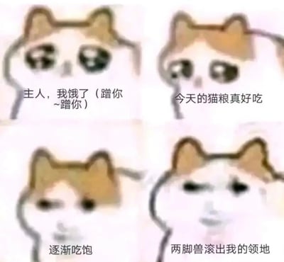 一张四格漫画形式的猫咪表情包，通过四个不同场景展现了猫咪态度的转变。第一格中猫咪睁着水汪汪的大眼睛，配文“主人，我饿了（蹭你~蹭你）”，显得十分可爱粘人；第二格猫咪表情满足，配文“今天的猫粮真好吃”；第三格猫咪眼神变得慵懒，配文“逐渐吃饱”；第四格猫咪表情变得不耐烦，配文“两脚兽滚出我的领地”，展现了猫咪从饥饿时的讨好到吃饱后的傲娇态度转变，充满幽默感。