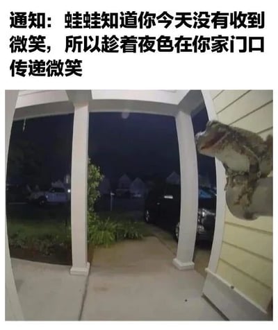 图片上方有一段通知文字：“通知: 蛙蛙知道你今天没有收到微笑，所以趁着夜色在你家门口传递微笑”。下方是一张夜晚的照片，展示了一个门廊场景，门廊有白色柱子，右侧柱子上趴着一只青蛙，背景中可见昏暗的街道、停放的汽车和远处的房屋轮廓，整体氛围温馨治愈，通过青蛙的形象传递温暖的情感。