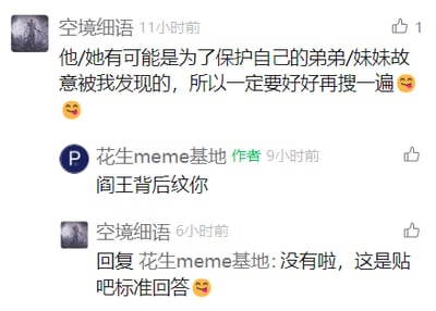 这是一张社交媒体平台的评论区截图，用户“空境细语”首先留言抛出一句带有玩梗性质的话语：“他/她有可能是为了保护自己的弟弟/妹妹故意被我发现的，所以一定要好好再搜一遍😋😊”，该内容的作者“花生meme基地”回复了一句调侃的话“阎王背后纹你”，随后“空境细语”解释自己的发言是百度贴吧的标准回答，整个对话充满了网络社区的轻松调侃氛围，是网友间基于网络梗的趣味互动。