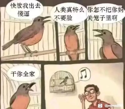 这是一幅由四个分镜构成的连环卡通漫画，前三格聚焦被囚禁在笼中的鸟：它因失去自由而极度愤怒，接连叫嚷出“快放我出去傻逼”“人类真特么不要脸”“你怎不把你妈关笼子里啊”“干你全家”这些充满怨气的脏话，每一格都通过大张的嘴巴、紧绷的姿态，传递出强烈的不满与反抗情绪。第四格切换视角，展现了一位戴眼镜的人类，他笑着将手放在耳边，一脸满足地倾听笼中鸟的叫声，在他的认知里，鸟发出的是欢快的歌声，旁边的音符气泡也体现了他的误解。整幅图通过鸟的真实愤怒与人类的自我感动式误解形成强烈反差，制造出荒诞的笑点，讽刺了人类常常将自身意愿强加给动物，却完全忽略动物真实感受的行为。