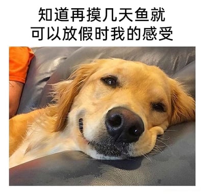 这是一张图文混排的静态表情包，上方配有文字“知道再摸几天鱼就可以放假时我的感受”，下方是一张真实的金毛犬照片：狗狗趴在深色皮沙发上，眼睛半睁，嘴角上扬，露出满足、惬意又带点窃喜的表情，画面左侧还能看到一小部分穿着橙色衣服的人的手臂。这张图用金毛犬的拟人化表情，精准地诠释了职场人在临近假期时，一边摸鱼一边期待放假的放松、愉悦又有点小窃喜的心态，将打工人的微妙心情通过宠物的生动表情展现出来，十分贴合大众的职场情绪。