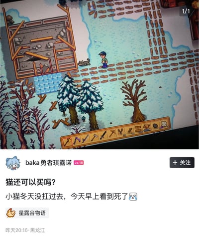 图片上半部分是《星露谷物语》游戏冬季场景截图，展示了玩家角色与狗站在一处木质建筑工地旁，周围有积雪覆盖的树木、结冰的池塘和堆放的木材。下半部分是社交媒体帖子，用户“baka勇者琪露诺”（Lv.18）发布内容：“猫还可以买吗? 小猫冬天没扛过去，今天早上看到死了😭”，并带有“星露谷物语”标签，发布于昨天20:16，地点显示为黑龙江。