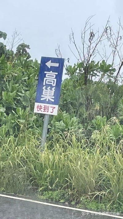 这是一张路边实地拍摄的竖版照片，画面里的路牌为蓝底白字，箭头指向左侧，标注着地名“高巢”，下方还有一个白底红字的小牌子写着“快到了”。
路牌文字玩了谐音梗，“高巢”谐音“高潮”，搭配“快到了”的补充文字，形成了带有暗示性的搞笑效果，很容易让人产生趣味联想，路牌周围是茂密的绿色杂草和植被，下方能看到部分路面。