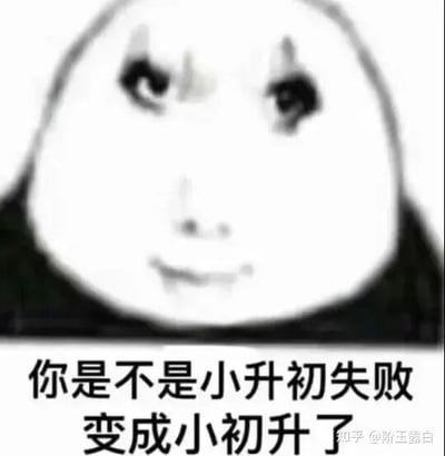 这是一张经过P图改编的网络表情包，主体是将熊猫头的头部替换为带有戏谑、欠揍表情的人脸，下方配有文字“你是不是小升初失败变成小初升了”。图中运用了谐音梗，把小学升初中的常规升学说法“小升初”颠倒为“小初升”，以玩笑调侃的语气，吐槽对方仿佛没能顺利完成升学阶段，或是暗指对方的行为、状态较为幼稚，仿佛停留在低龄成长阶段，整体风格搞笑诙谐，多用于朋友间的轻松吐槽场景。