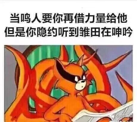 《猫和老鼠》《火影忍者》