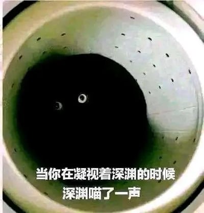 图片展示了一只纯黑色猫咪待在类似洗衣机内筒的容器中，仅露出两只亮晶晶的眼睛，看起来如同深邃的“深渊”。图下方配文“当你在凝视着深渊的时候 深渊喵了一声”，改编自尼采的经典名言“当你凝视深渊时，深渊也在凝视你”，用猫咪的可爱反差感打破了原句的沉重氛围，制造出诙谐搞笑的效果。