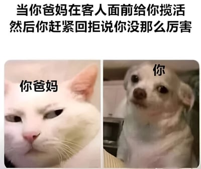这是一张左右对比的梗图，上方配有文字'当你爸妈在客人面前给你揽活然后你赶紧回拒说你没那么厉害'。左侧是一只表情略带不满和审视的白猫，标注为'你爸妈'；右侧是一只表情紧张、眼神中带着担忧的小狗，标注为'你'。图片通过动物表情生动展现了年轻人面对父母在客人面前过度夸耀自己能力时的尴尬与无奈。
