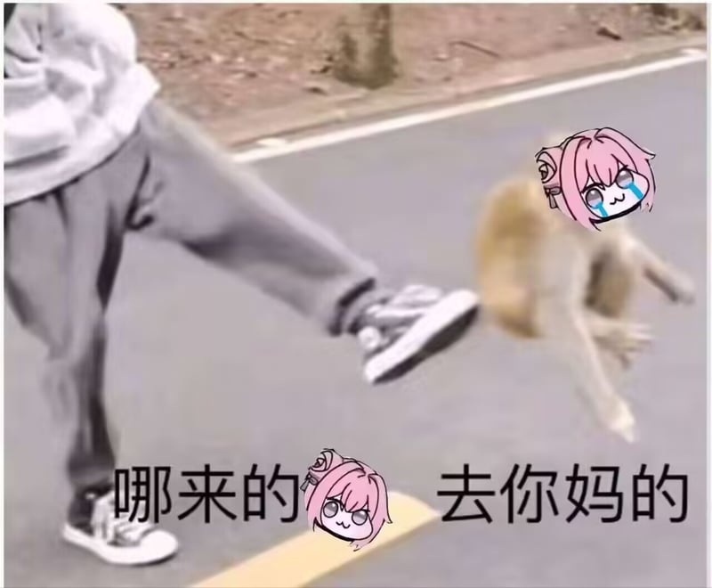 Doro被踢飞表情包：哪来的去你妈的
