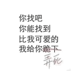 你能找到比我可爱的吗