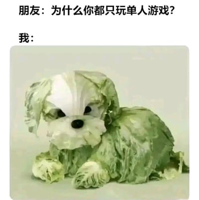 图片上方是朋友的提问：'为什么你都只玩单人游戏？'，下方标注'我：'并配有一张卷心菜造型的小狗玩偶图片。通过卷心菜狗的可爱形象，幽默地表达了喜欢独自玩游戏的状态，暗指享受独处的乐趣。