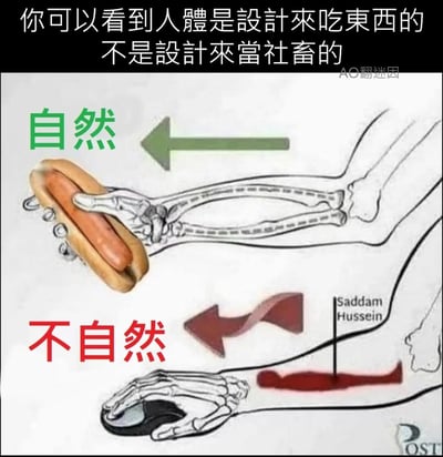 这张梗图通过上下对比的方式，用人体骨骼图讽刺社畜职场生活：
1. 上半部分：手的骨骼自然握住热狗，标注「自然」，对应配文表达人体天生适合进食的状态；
2. 下半部分：手的骨骼扭曲着握住鼠标，标注「不自然」，还用「Saddam Hussein」标注扭曲的骨骼形态，玩排版与形态的趣味梗；
整体配文「你可以看到人體是設計來吃東西的不是設計來當社畜的」，用人体工学的自然与不自然状态对比，吐槽社畜上班的身体负担，讽刺职场工作违背人体自然规律。
额外梗点说明：「Saddam Hussein」的文字排版贴合扭曲的骨骼线条，是将文字形态与骨骼形态结合的趣味设计。
