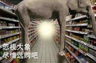这是一张趣味合成梗图，画面呈现超市的货架通道，一头大象的下半身被合成在通道前方，通道尽头有明亮的光晕，左下角配文“忽视大象 尽情选购吧”。这张图玩了“房间里的大象”的隐喻梗，用荒诞的画面调侃人们刻意无视明显存在的不合理事物，专注于自身目标的行为，充满搞笑和荒诞的氛围。