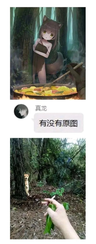 这是一组包含P图、聊天记录和真实原图的趣味内容。上方是经过二次P图的合成图像，创作者将树林实拍图里的柴犬替换成了有着猫耳、面露惊恐抱臂躲在树干后的动漫少女，同时在前景添加了一口正在烹煮食物的大锅，营造出惊险的场景；中间是社交平台用户“真龙”发送的消息“有没有原图”；下方是对应的真实原图，呈现了户外树林里一只柴犬扒着树干探出头，前景有一只手拿着植物和烟的真实场景，P图与原图的巨大反差形成了搞笑的效果，是网络上流行的趣味反差梗。