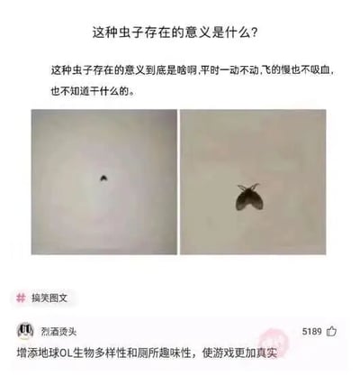这是一则社交媒体平台上的搞笑图文内容，上方文字提出疑问，对厕所常见的小飞虫（蛾蠓）的存在意义表示困惑，称这种虫子平时一动不动、飞行缓慢且不吸血，不知道其作用。下方配有左右两张对比图，左侧是远距离拍摄的小飞虫，仅呈现为一个小黑点，右侧是近距离拍摄的清晰小飞虫样貌。热门评论以玩梗的方式回应提问，将现实世界比作游戏“地球OL”，调侃这种虫子的存在是为了增添该“游戏”的生物多样性和厕所的趣味性，让现实这个“游戏”更具真实感，用幽默的方式消解了提问的严肃感，充满生活趣味。