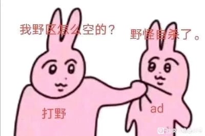 这是一张卡通风格的搞笑游戏梗表情包，画面中有两只粉色卡通兔子，左侧标注为“打野”的兔子用手抓住右侧标注为“AD”的兔子的衣领，神态带着质问感；右侧的AD兔子神态看起来有些心虚。图中配有对应角色的文字对话，打野发问“我野区怎么空的？”，AD则给出了明显是借口的回答“野怪自杀了。”，内容还原了MOBA类游戏里常见的趣味场景——AD位玩家常会偷吃打野的野怪，被发现后找离谱借口掩饰，用幽默的方式调侃了游戏中的这类互动。