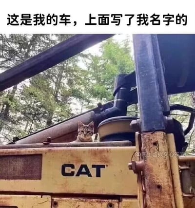 这是一张充满趣味的原始拍摄静态图，画面主体是一只虎斑猫，它趴在CAT品牌的工程车操作区域内，表情严肃地直视镜头。图片顶部配有文字“这是我的车，上面写了我名字的”，利用了“CAT”与中文“猫”的谐音关系，制造出猫咪将这辆工程车认作自己专属座驾的搞笑效果。背景是茂密的树林，工程车表面有使用留下的污渍和磨损痕迹，显得颇具真实感。右下角带有“@网上虚拟交心不交”的水印，表明图片的传播来源。