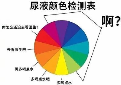 这是一张幽默改编的尿液颜色检测表，主体为一个彩色轮盘，标题为“尿液颜色检测表”。轮盘包含红、橙、黄、绿、蓝、靛、紫等多种颜色分区，不同颜色区域配有文字注释：红色和紫色区域分别标注“去看医生吧”和“你怎么还没去看医生？”，橙色区域标注“再多喝点水”，黄色及邻近区域标注“多喝水吧”“多喝水”，右上角还有一个醒目的“啊？”符号。图片通过夸张地加入蓝色、紫色等非生理正常的尿液颜色，并搭配调侃式文字，以幽默方式模仿健康科普图表。