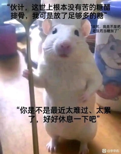 这是一张以拟人化小白鼠为主体的网络梗图，图中的小白鼠呈站立姿态，一只前爪扶着勺子，神态茫然疲惫。图片搭配三段文字，构建出一个充满隐喻的场景：上方是他人的安慰话语“伙计，这世上根本没有苦的糖醋排骨，我可是放了足够多的糖”，右上角是小白鼠的内心OS“该死，我是不是把老鼠药当糖加了”，下方则是温柔的劝慰“你是不是最近太难过、太累了，好好休息一下吧”。这张图用老鼠误食老鼠药的设定，巧妙隐喻当代人在身心俱疲时，容易将自身的痛苦归结为外界因素，实则是自己陷入了情绪的困境，通过这种委婉的方式，戳中人们疲惫的情绪，传递出需要休息的关怀，引发大众的情绪共鸣。