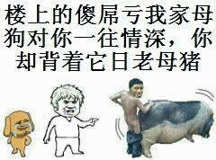 楼上邻居辜负母狗感情搞笑梗图
