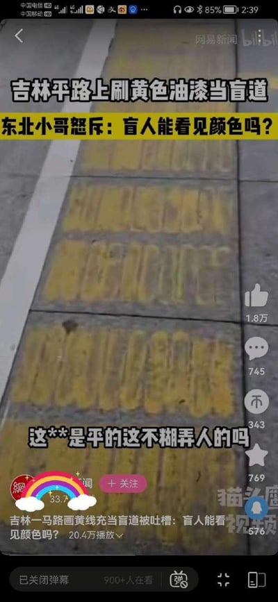 图片显示吉林某道路上用黄色油漆涂刷的所谓"盲道"，实际上只是平坦路面上的黄色线条，而非标准的凸起式盲道。东北小哥对此现象提出尖锐质疑："盲人能看见颜色吗？"并指出"这是平的这不糊弄人的吗"，反映了公众对公共设施建设敷衍了事的不满。