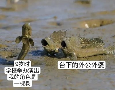 图片展示了泥滩上的几只弹涂鱼：左侧一只弹涂鱼直立身体，鱼鳍展开，姿态宛如一棵静止的“树”；右侧三只弹涂鱼仰着头、张着嘴，眼神专注地望向“树”，仿佛在认真观看表演。图中文字分别标注“9岁时 学校举办演出 我的角色是 一棵树”和“台下的外公外婆”，通过拟人化手法，将弹涂鱼的自然姿态与童年校园演出的场景巧妙结合——直立的鱼对应扮演“树”的小孩，仰头的鱼群则神似台下为孙辈加油的外公外婆，画面充满童真与家庭温情，用动物的可爱形态演绎了平凡却难忘的成长记忆。