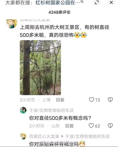 社交媒体评论截图显示，用户"雨果红心火龙果"声称在杭州大树王景区看到直径500多米的树木并表示"真的很恐怖"，引发其他用户质疑。评论下方配有一张森林实景照片，显示有高大树木。另一用户"于波/艾栖智能锁府东店"反问"你对直径500多米有概念吗？"，原评论者则回应"你对原始森林有概念吗"，形成有趣互动。