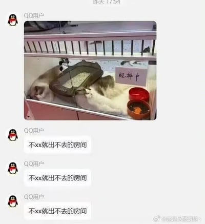 这是一张QQ聊天截图，展示了一个装有猫咪的笼子，笼子上有一个写着“配种中”的标牌。聊天记录中有多条重复的消息“不xx就出不去的房间”，暗示这是一个猫咪必须完成配种才能离开的房间，营造出幽默搞笑的效果。