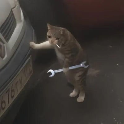 一只虎斑猫站立在汽车旁，后腿支撑身体，前爪中握着一把扳手，另一只前爪正触碰汽车的保险杠，眼神专注，仿佛正在认真检查或修理汽车。图片通过后期编辑将扳手元素添加到真实猫咪照片中，营造出猫咪拟人化从事修车工作的幽默场景，整体风格轻松有趣，充满反差萌。