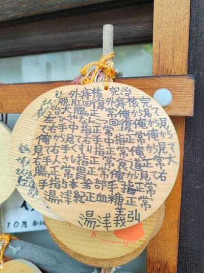 这是一张拍摄于日本京都大神宫的绘马（许愿木牌）照片，圆形木牌上由名为湯洋義弘的参拜者手写了密密麻麻的健康祈愿内容，涵盖了外痔核痊愈、脱肛恢复、大肠正常、膝盖康复、右手多根手指恢复正常、食道肠胃功能正常、血糖正常等身体各处的健康诉求，将细致的健康愿望全部写在木牌上，悬挂于神社的专用架子上，是日本传统祈福文化中非常朴实恳切的个人祈愿体现，没有双关、谐音梗或暗示内容。