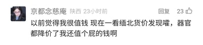 这是一张社交媒体的评论截图，截图中显示昵称为“京都念慈庵”、所在地标注为陕西的用户在23小时前发布了一条评论，该评论获得了23个点赞。评论内容为“以前觉得我很值钱 现在一看缅北货价发现嚯，器官都降价了我还值个屁的钱啊”，用户借用缅北非法贩卖人体器官的相关传闻，以器官降价为切入点，用自嘲的语气调侃自己“身价”低廉，内容带有黑色幽默的玩梗性质，是网友结合热点传闻进行的自我调侃创作。