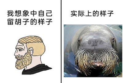 这是一张左右分栏的搞笑对比梗图，左侧呈现的是作者想象中自己留胡子的样子：一个有着利落短发、整齐络腮胡的卡通男性，侧脸线条硬朗，表情沉稳冷峻，形象成熟帅气，给人一种有型的感觉；右侧则是现实中自己留胡子的样子，用一只露出水面的海象来替代，海象的胡须杂乱茂密、形态粗糙，面部表情呆滞平淡，和左侧的帅气预期形成了极其强烈的反差。图中左右两侧分别配有文字“我想象中自己留胡子的样子”和“实际上的样子”，通过这种夸张的视觉对比，调侃了自己实际留胡子的效果和心理预期的巨大落差，充满了自嘲和搞笑的意味。