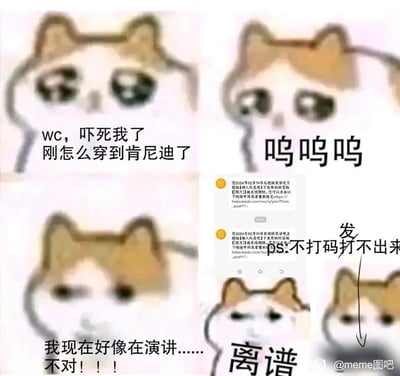 这是一组由网络流行的模糊meme猫组成的连环搞笑梗图，内容围绕meme猫穿越成为肯尼迪展开：它先是惊恐地发现自己穿越成肯尼迪，随后意识到自己正在进行演讲，紧接着就看到相关内容在百度贴吧发布时因涉及敏感内容被系统删除，必须打码才能发出。meme猫的情绪从穿越的惊恐，到发现演讲的震惊，再到看到内容被删的无语，配合平台的删除提示，将历史事件的敏感性与日常内容发布的审核规则结合，制造出荒诞搞笑的反差效果。